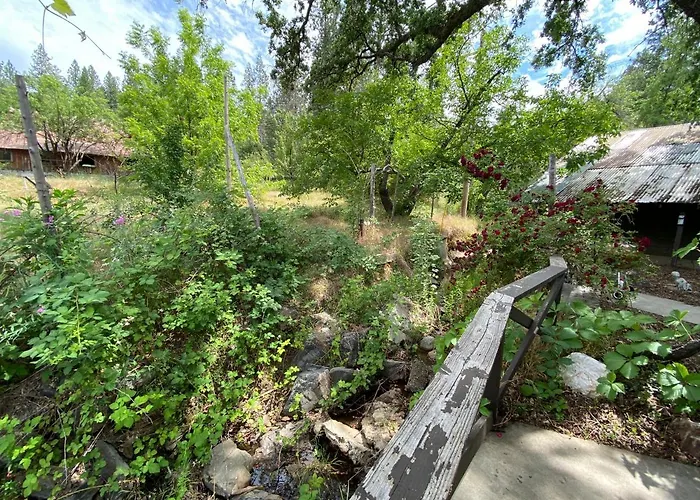 Vans Yosemite Garden Cottage